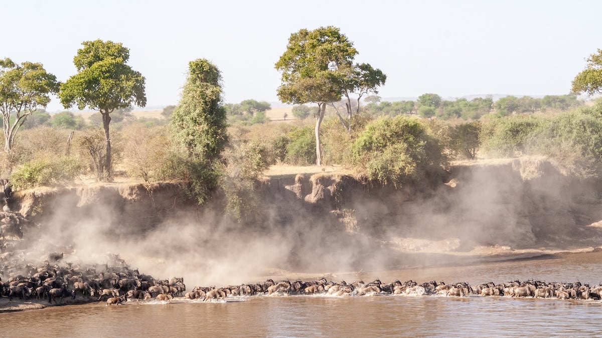 Veinticinco mil animales dentro de un cráter: un safari por el norte de Tanzania que combina parques y aldeas