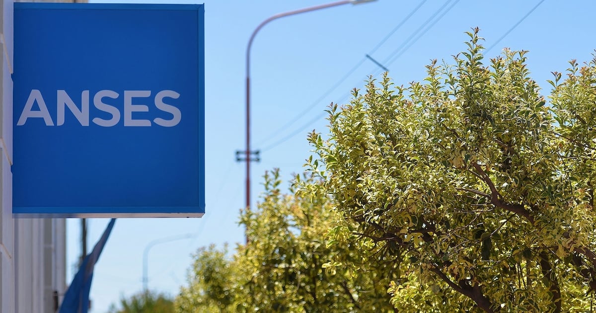 DNI terminado en 2: el cronograma completo de ANSES para octubre y los números que se vienen