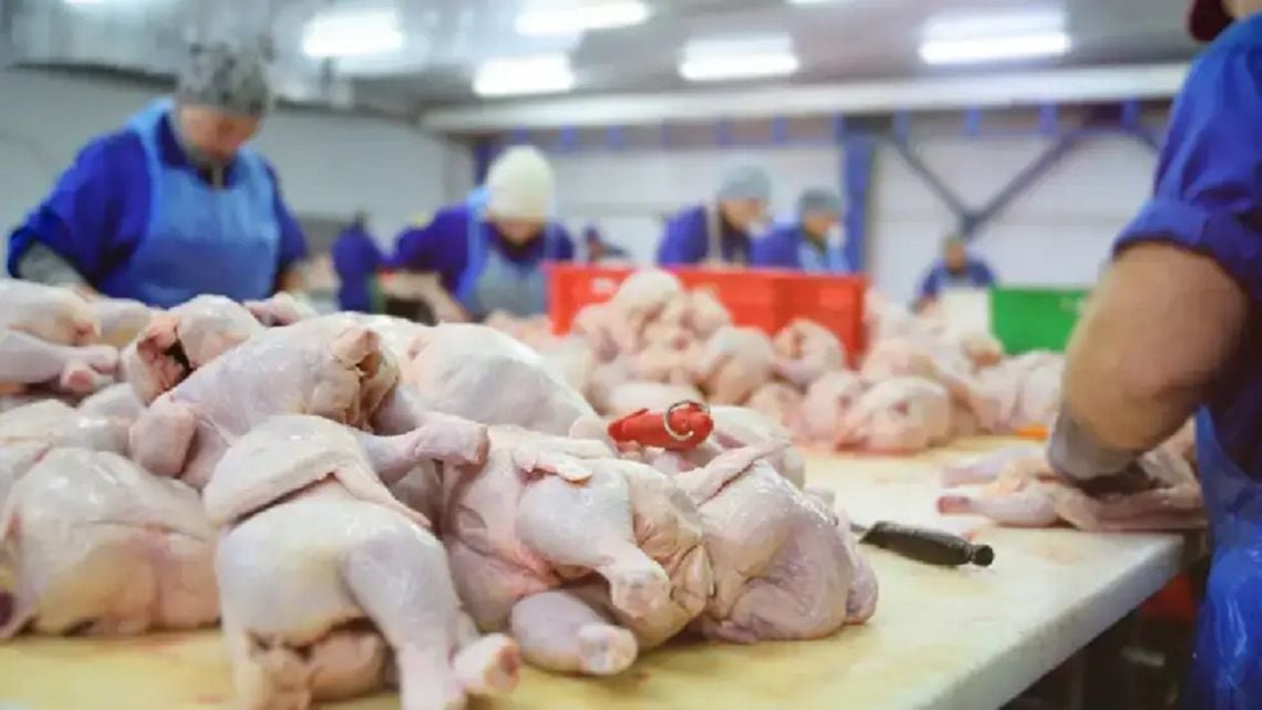 Por primera vez, el pollo lideró el consumo de carnes en la Argentina y superó a la la carne vacuna