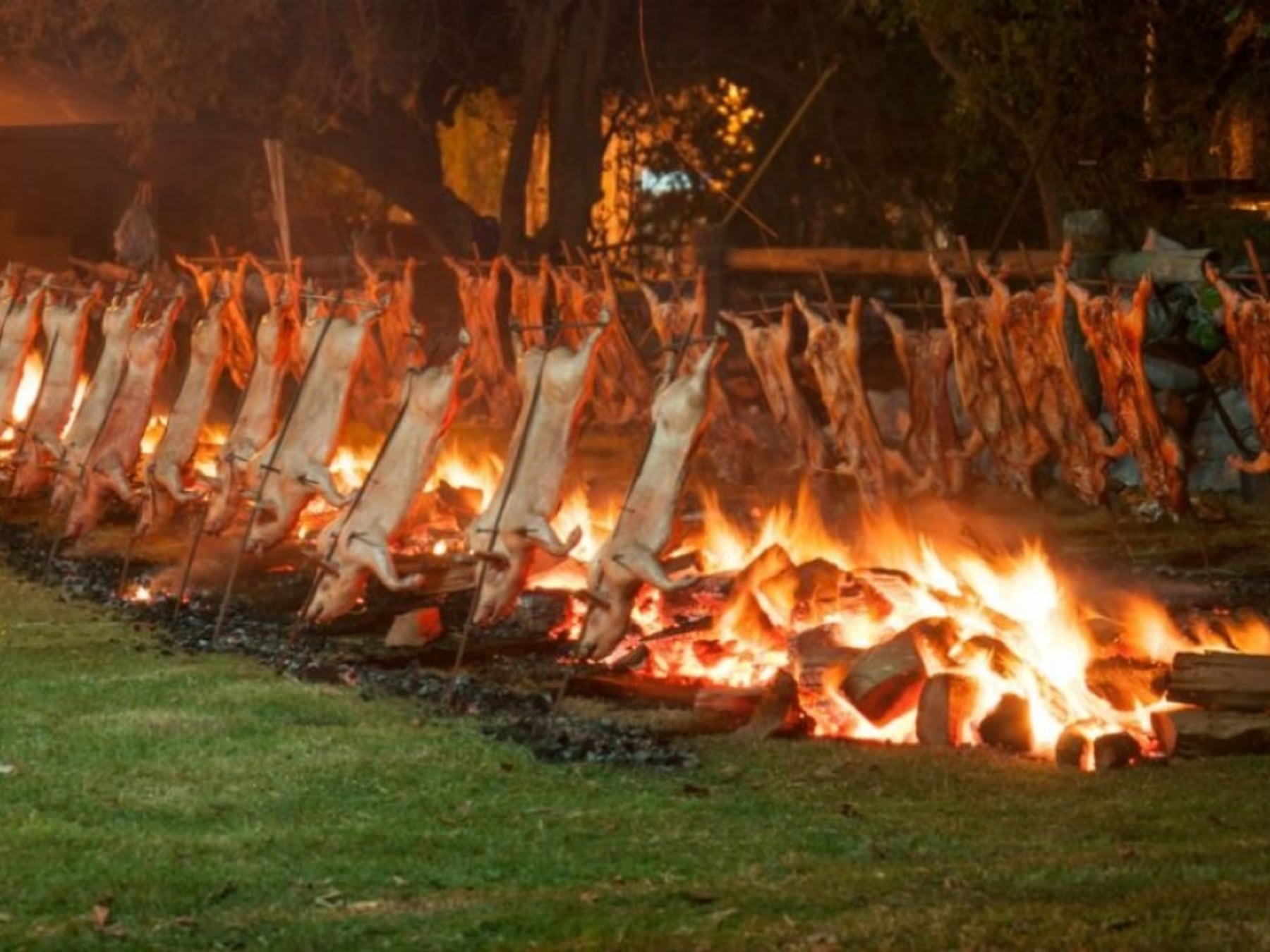 Más de veinte mil hectáreas de tradiciones y sabores: el fin de semana largo recorre la provincia de Buenos Aires