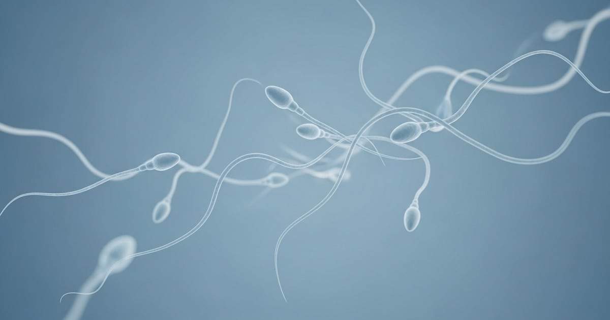 Un joven de 19 años recupera la ilusión de ser padre gracias a un trasplante experimental de su propio tejido testicular
