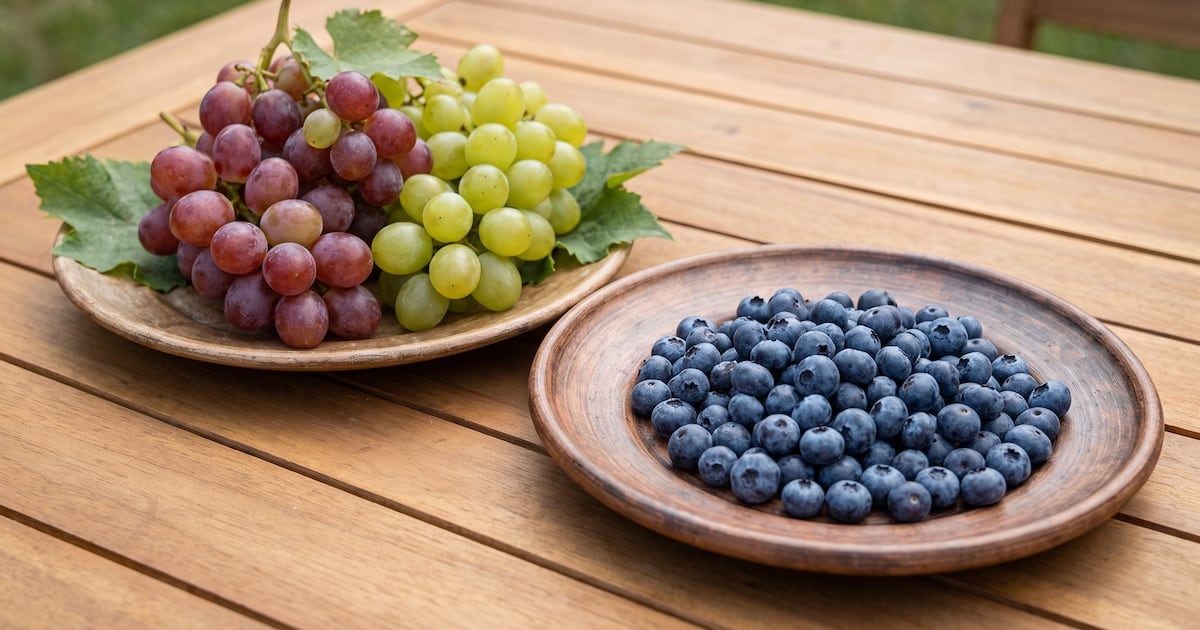 Arándanos o uvas: la pulseada por el azúcar en sangre y qué tener en cuenta a la hora de llevarlas a la mesa