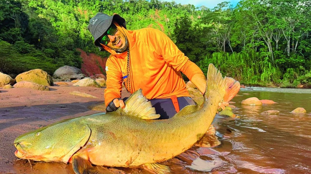 Más de 350 kilómetros de río en la Amazonía boliviana, quince especies y capturas que superan los 20 kilos