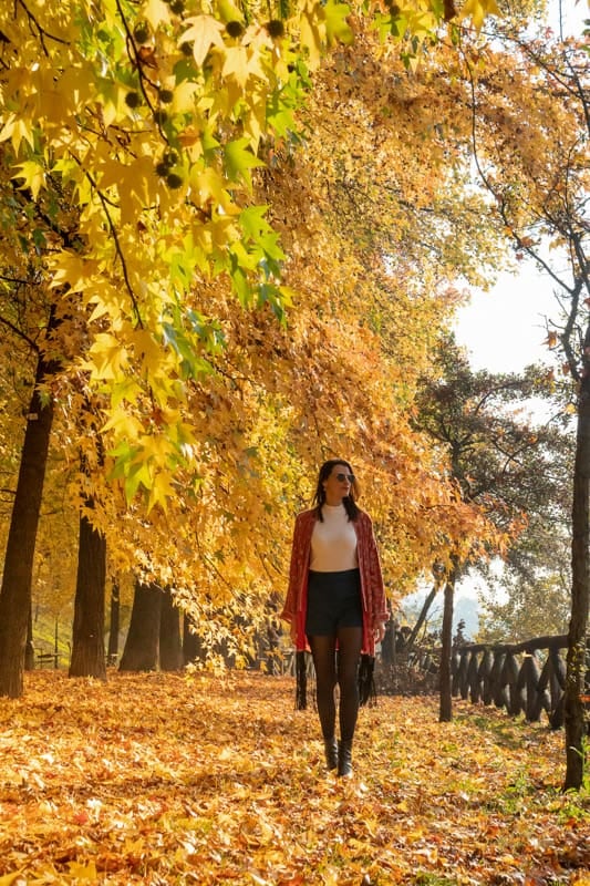 El otoño europeo cambia el ritmo: doce capitales entre parques, museos yariable clima