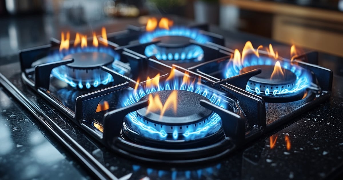 El descuento al gas pierde 3,35 millones de hogares en todo el país