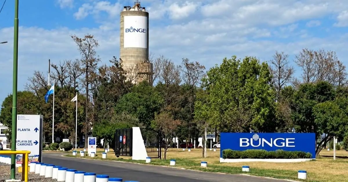 Campana pierde una línea de producción de fertilizantes y 110 puestos de trabajo